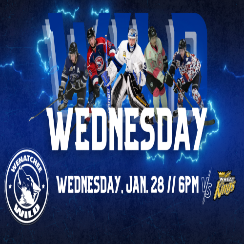 Wild-Wednesday-1-500x500